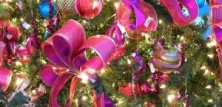 Juletræ og julepynt 